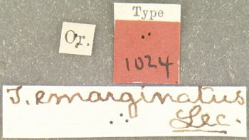 Media type: image;   Entomology 1024 Aspect: labels